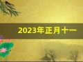 2023年正月十一(2023年正月十一美女送祝福图片)