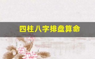 四柱八字排盘算命(四柱八字排盘算命)