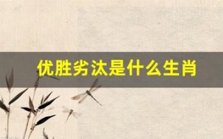 优胜劣汰是什么生肖(优胜劣汰是什么生肖动物)
