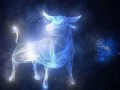 金牛座本月运势(金牛座本月运势2024)