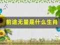 前途无量是什么生肖(前途无量是什么生肖正确答案)
