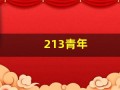 213青年(213青年欢乐多什么意思)