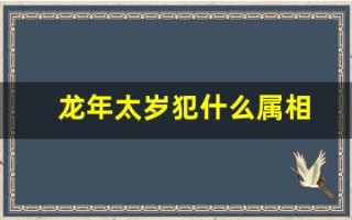 龙年太岁犯什么属相(龙年太岁犯什么属相图片)