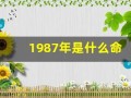 1987年是什么命(1987年农历6月29日是什么命)