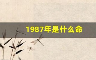 1987年是什么命(1987年农历6月29日是什么命)