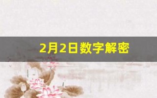 2月2日数字解密(二月二日的数字)