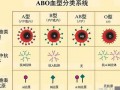 血型分析(血型分析性格特点准吗)