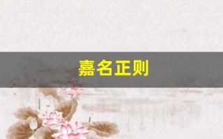 嘉名正则(嘉正的含义)