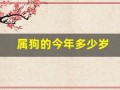 属狗的今年多少岁(属羊的今年多少岁)