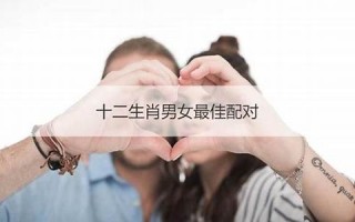 12生肖男女最佳配对表(十二生肖男女最佳配对表) 12生肖男女最佳配对表(十二生肖男女最佳配对表)
