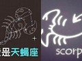 巨蟹女和天蝎男(天秤男和狮子女适合在一起吗)