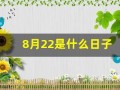 8月22是什么日子(八月22日是什么日子)