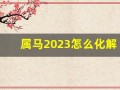 属马2023怎么化解太岁(属马的2023)