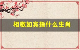 相敬如宾指什么生肖(相敬如宾的是什么生肖)
