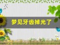 梦见牙齿掉光了(梦见掉了一大把牙齿是什么征兆)