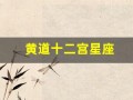 黄道十二宫星座(黄道十二宫星座12)