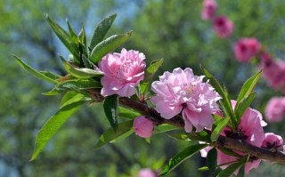 4月23日是什么日子(每年的4月23日是什么日子)