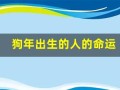 狗年出生的人的命运(狗年出生人的命运最好)