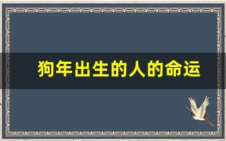 狗年出生的人的命运(狗年出生人的命运最好)