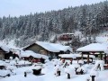 梦见下大雪(梦见下大雪满地很厚很白)