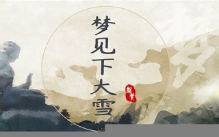 梦见下大雪(梦见下大雪满地很厚很白)