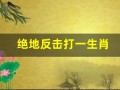 绝地反击打一生肖(绝地反击是成语么)