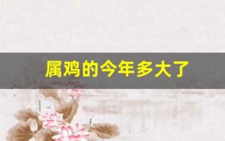 属鸡的今年多大了(属狗的今年多大了)