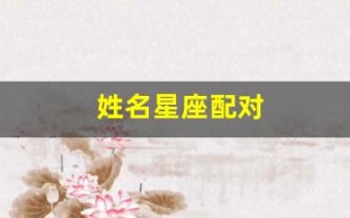 姓名星座配对(姓名星座配对测试苹果下载)