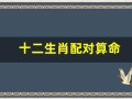 十二生肖配对算命(十二生肖配对最佳婚配表大全)