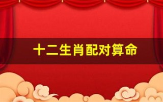 十二生肖配对算命(十二生肖配对最佳婚配表大全)
