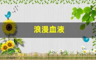 浪漫血液(浪漫血液为什么叫浪漫广西)