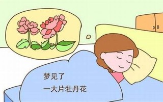 梦到自己怀孕了什么预兆(梦到自己怀孕了什么预兆已婚女人)