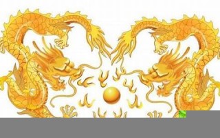 龙和什么生肖最配(00年属龙和什么生肖最配)