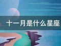 十一月什么星座(十一月份出生的是什么星座)