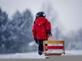 梦见下雪了是什么预兆(梦见下雪了意味着什么)