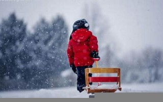 梦见下雪了是什么预兆(梦见下雪了是什么意思)