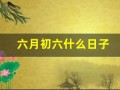 六月初六什么日子(六月初六什么日子这一天出生好吗)