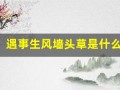 遇事生风墙头草是什么生肖(遇事风生是什么意思)