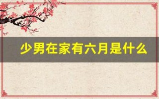 少男在家有六月是什么生肖(少男在家有六月是什么意思)