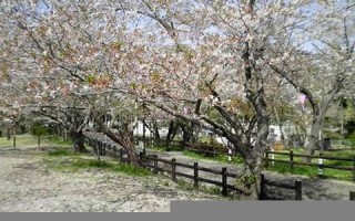 2013年4月4日(2013年4月4日农历表)