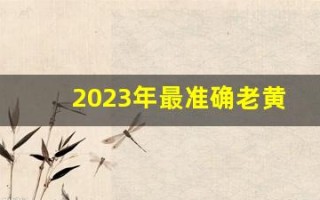 2023年最准确老黄历(2023年最准确老黄历911)