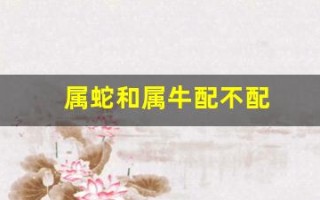 属蛇和属牛配不配(属猪和属蛇合不合)