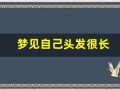 梦见自己头发很长(梦见自己头发很长是什么兆头)