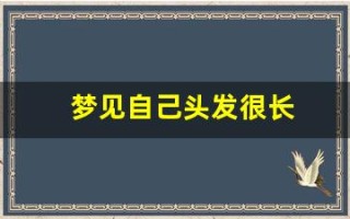 梦见自己头发很长(梦见自己头发很长是什么兆头)