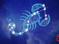 11月17日是什么星座(11月11什么星座)