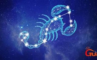 11月17日是什么星座(11月11日是什么星座)