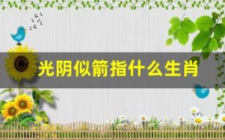 光阴似箭指什么生肖(光阴似箭指什么生肖呢)