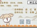 属狗的人2021年的运势及运程(属狗的人2021年的运势及运程详解)