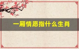 一厢情愿指什么生肖(一厢情愿的意思是什么)