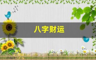 八字财运(八字财运怎么看)
